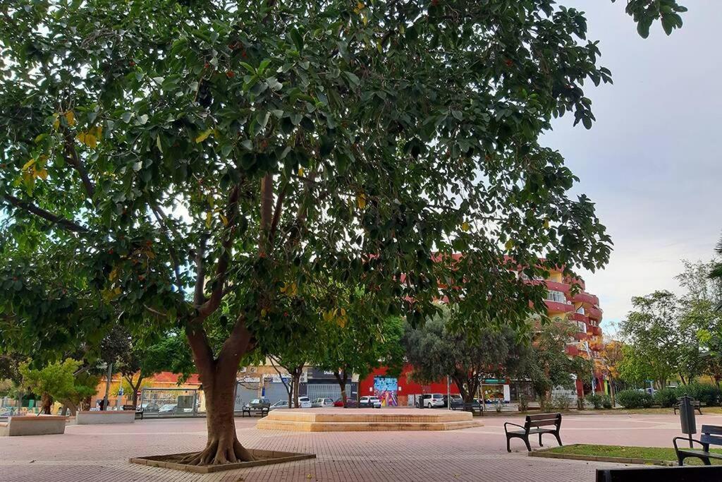 Casita De Tais Διαμέρισμα Αλικάντε Εξωτερικό φωτογραφία